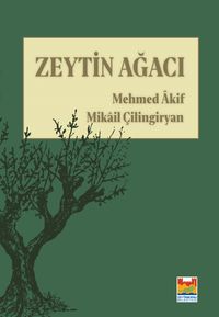 Zeytin Ağacı