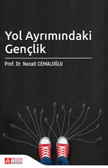 Yol Ayrımındaki Gençlik