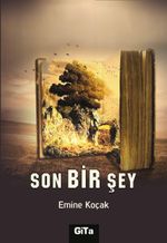 Son Bir Şey