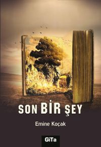 Son Bir Şey