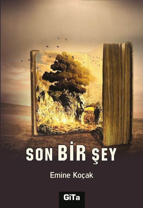 Son Bir Şey