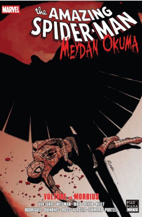 The Amazing Spider-Man / Meydan Okuma