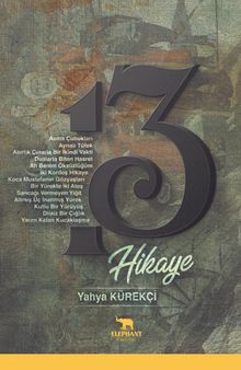 13 Hikaye