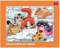 Afacan Kediler Süt Peşinde 