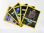 Natinol Geographic Kids Mavi Gezegen Seti (5 Kitap)