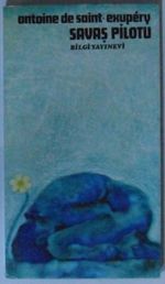 Savaş Pilotu Kod: 10-H-26