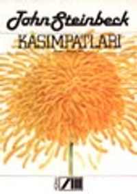 Kasımpatları