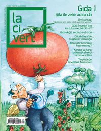 Lacivert Yaşam Kültürü Dergisi Sayı:67 Nisan 2020