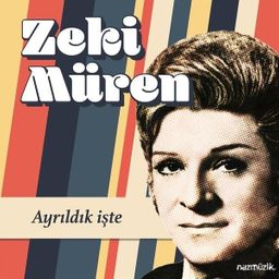 Ayrıldık İşte - Zeki Müren (Plak)