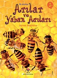 Arılar / İlk Okuma