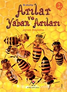 Arılar / İlk Okuma - James Maclaine