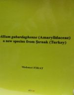 Allium Gabardaghense (Amaryllidaceae), a new Species from Şırnak, Turkey