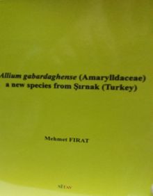 Allium Gabardaghense (Amaryllidaceae), a new Species from Şırnak, Turkey