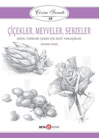 Çiçekler, Meyveler ve Sebzeler / Çizim Sanatı 10 & Doğal Formları Çizmek İçin Basit Yaklaşımlar