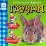 Maratoncu Dostumuz Tavşan