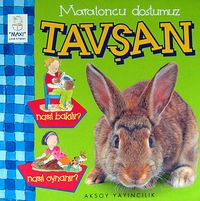 Maratoncu Dostumuz Tavşan