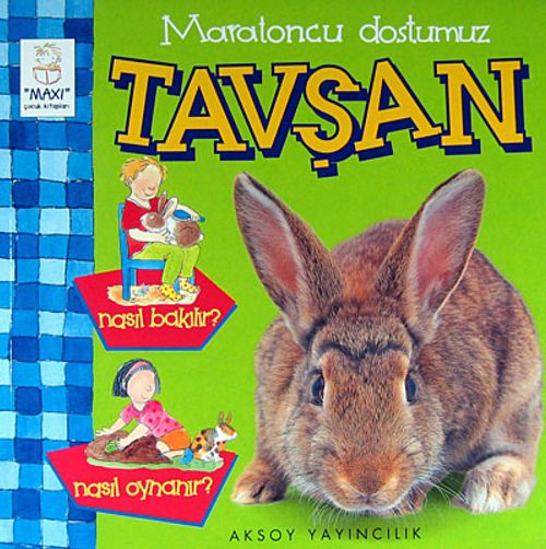 Maratoncu Dostumuz Tavşan