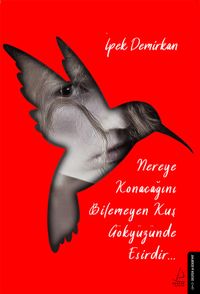 Nereye Konacağını Bilemeyen Kuş Gökyüzünde Esirdir