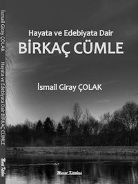 Hayata ve Edebiyata Dair Birkaç Cümle