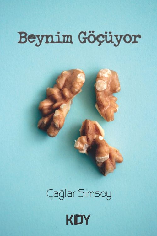 Beynim Göçüyor 