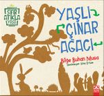 Yaşlı Çınar Ağacı