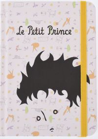Küçük Prens Defter (KPR204)