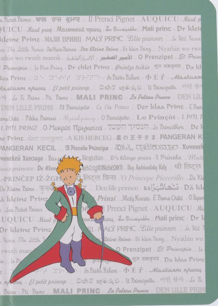 Küçük Prens Defter (KPR211)