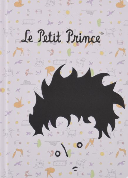 Küçük Prens Defter (KPR214)