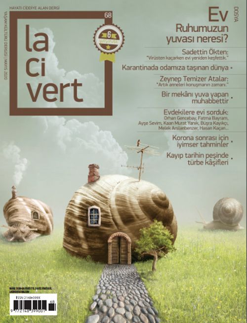 Lacivert Yaşam Kültürü Dergisi Sayı:68 Mayıs 2020
