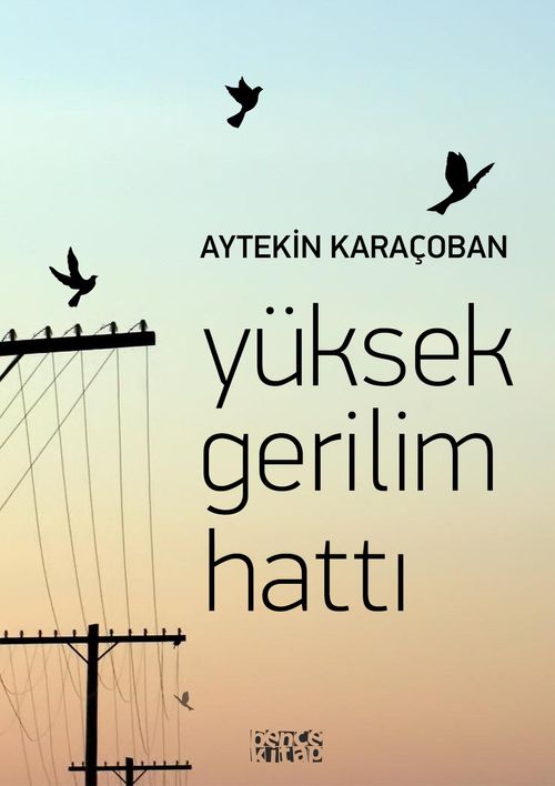 Yüksek Gerilim Hattı
