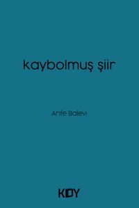 Kaybolmuş Şiir 