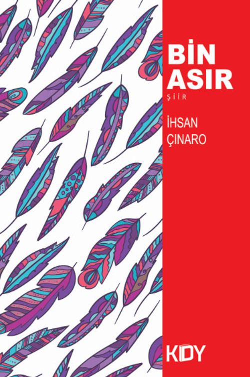 Bin Asır 