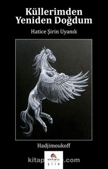 Küllerimden Yeniden Doğdum - Hatice Şirin Uyanık