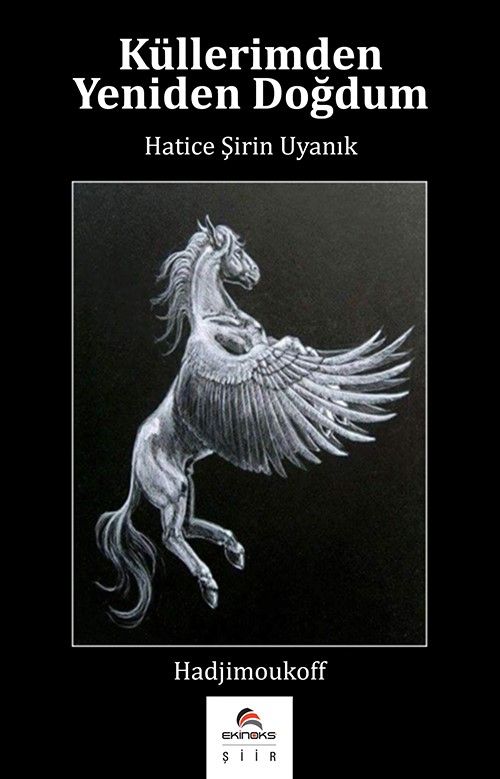 Küllerimden Yeniden Doğdum 