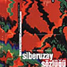 Siber Uzay sözlüğü