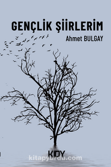 Gençlik Şiirlerim - Ahmet Bulgay