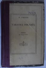 Yaratıcı Tekamül Kod: 11-Z-13