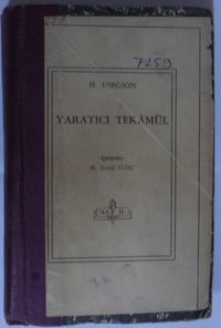 Yaratıcı Tekamül Kod: 11-Z-13