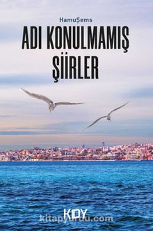 Adı Konulmamış Şiirler - Hamu Şems