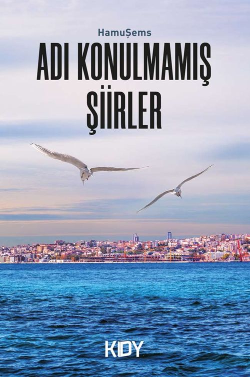 Adı Konulmamış Şiirler 