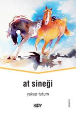 At Sineği