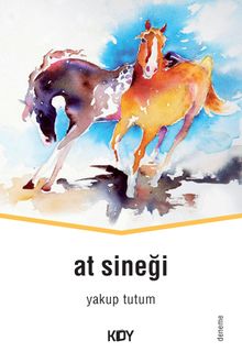 At Sineği