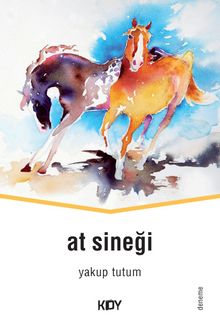 At Sineği - Yakup Tutum