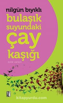 Bulaşık Suyundaki Çay Kaşığı - Nilgün Bıyıklı