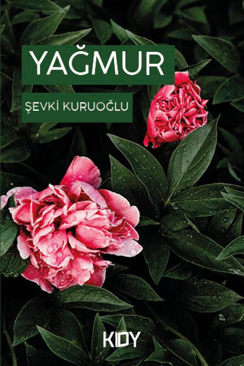 Yağmur