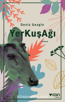 Yerkuşağı - Deniz Gezgin