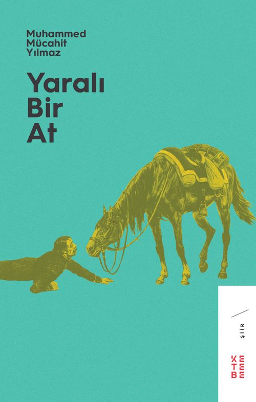 Yaralı Bir At 