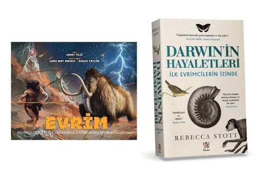 Evrim Seti  (1 Oyun 1 Kitap)