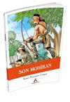 Son Mohikan