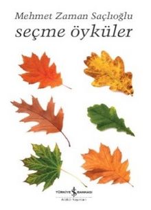 Seçme Öyküler / Mehmet Zaman Saçlıoğlu - Mehmet Zaman Saçlıoğlu